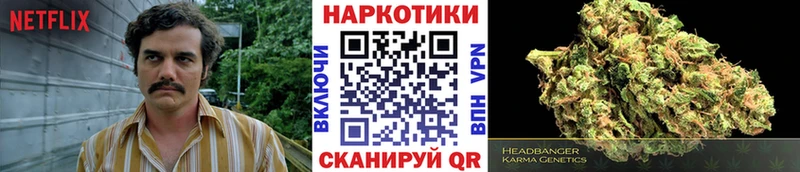 Виды наркотиков купить Заинск A PVP  Каннабис 
