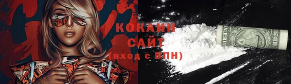 шишки Гусь-Хрустальный