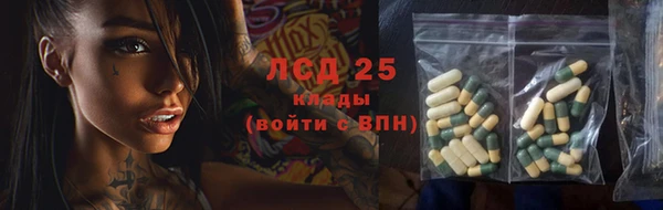 шишки Гусь-Хрустальный