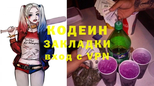 шишки Гусь-Хрустальный