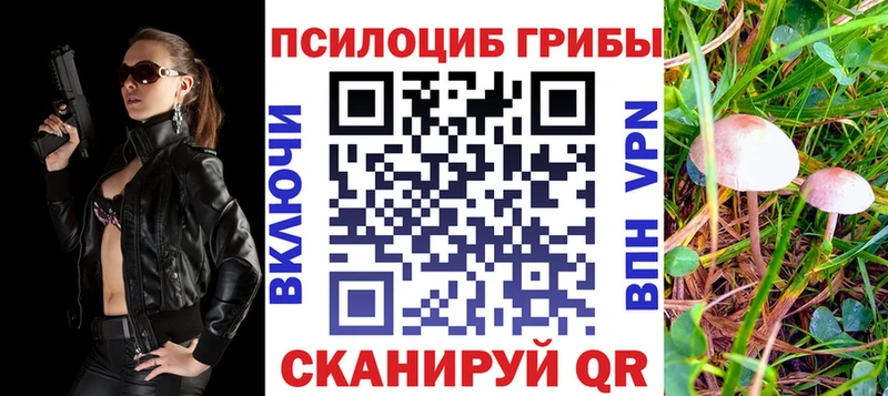 MEGA маркетплейс  Заинск  Галлюциногенные грибы мицелий  купить наркоту 